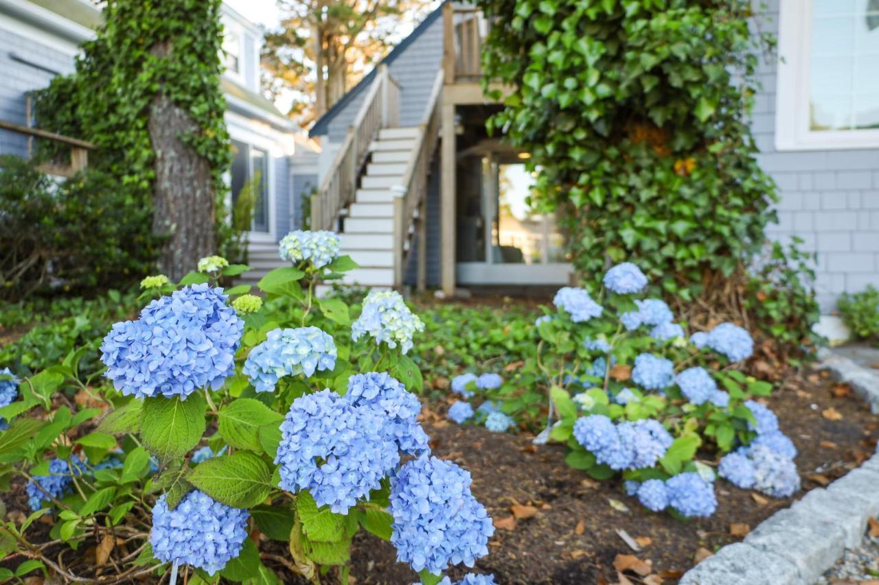 Allen Harbor Rentals Harwich Port Exterior foto